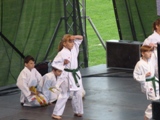 2012_13_zvar_karate_001