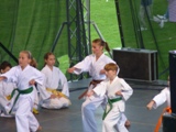 2012_13_zvar_karate_002