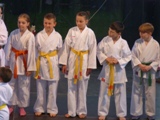 2012_13_zvar_karate_025