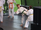 2012_13_zvar_karate_004